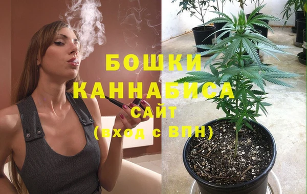 сатива Абдулино