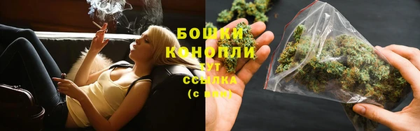 сатива Абдулино
