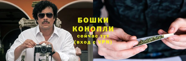 сатива Абдулино