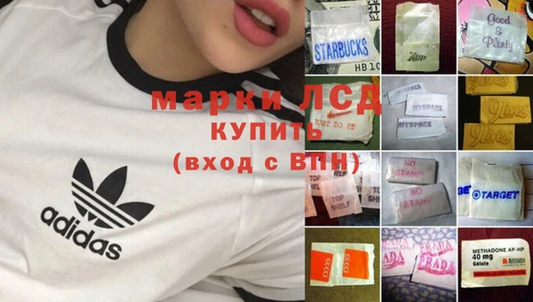 сатива Абинск